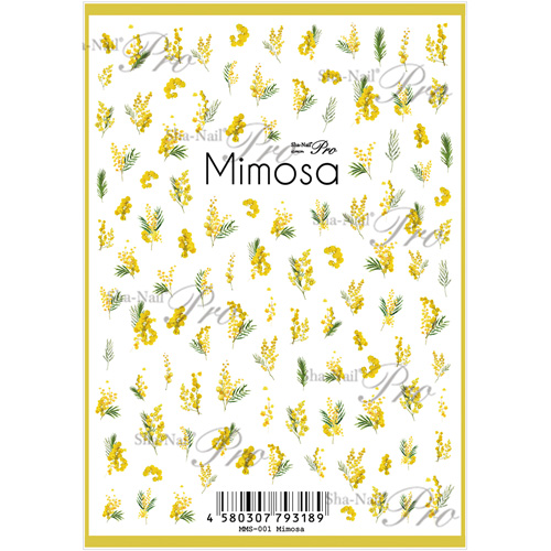 Mimosa