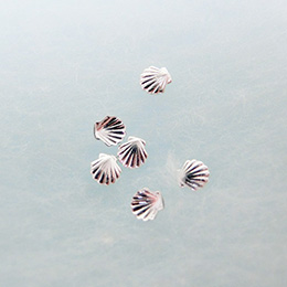 シェル シルバー 2mm 20個