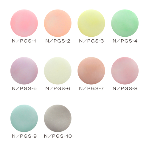 カラーパウダー N/PGS 3.5g 10色セット